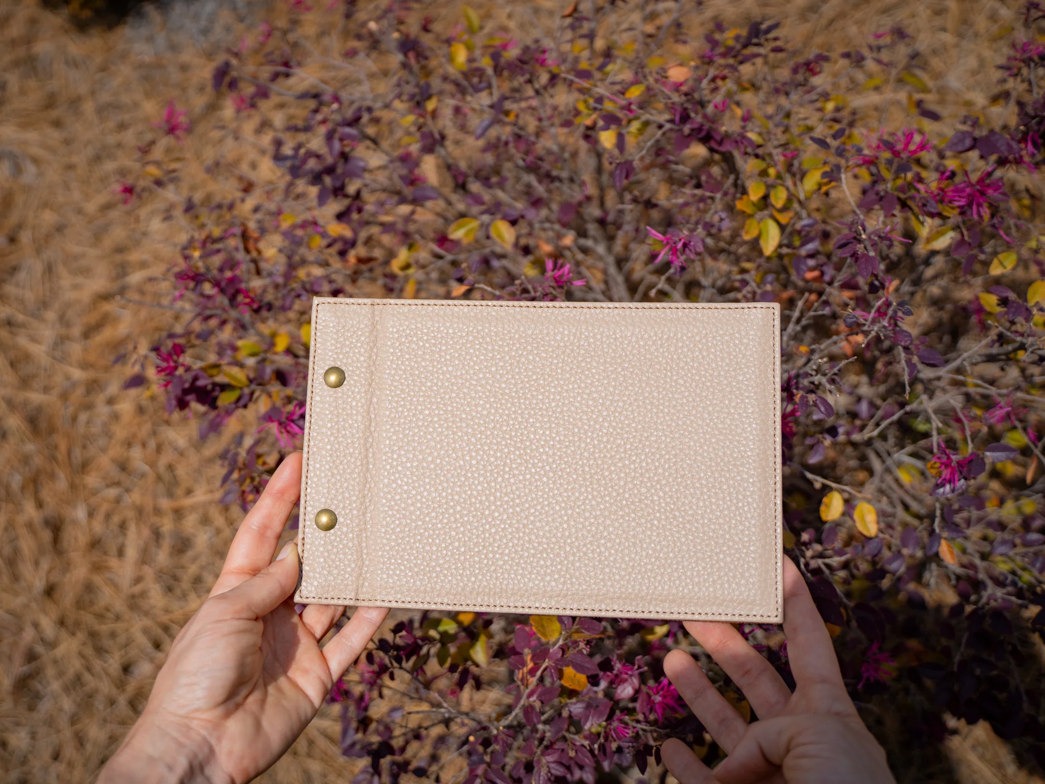 Italian Leather Menu with Chicago Screws Horizontal - Taupe - Image 4
